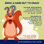 idiom a hard nut to crack