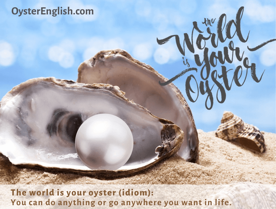 Oyster English – With English, The World Is Your Oyster