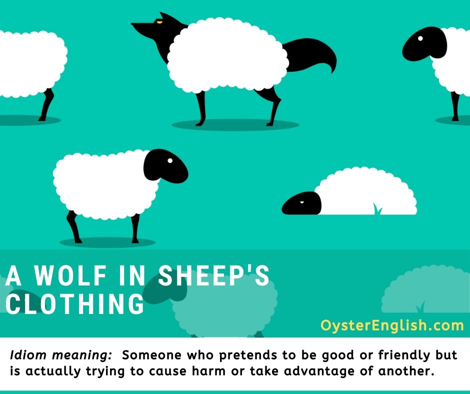 Idiom A Wolf In Sheep s Clothing meaning Examples 