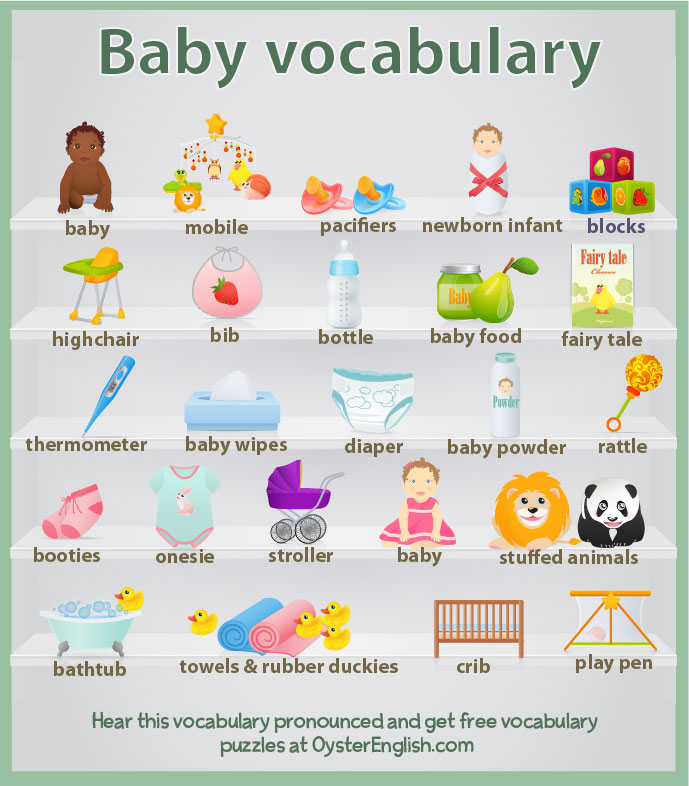 https://www.oysterenglish.com/images/baby-and-infant-vocabulary.jpg