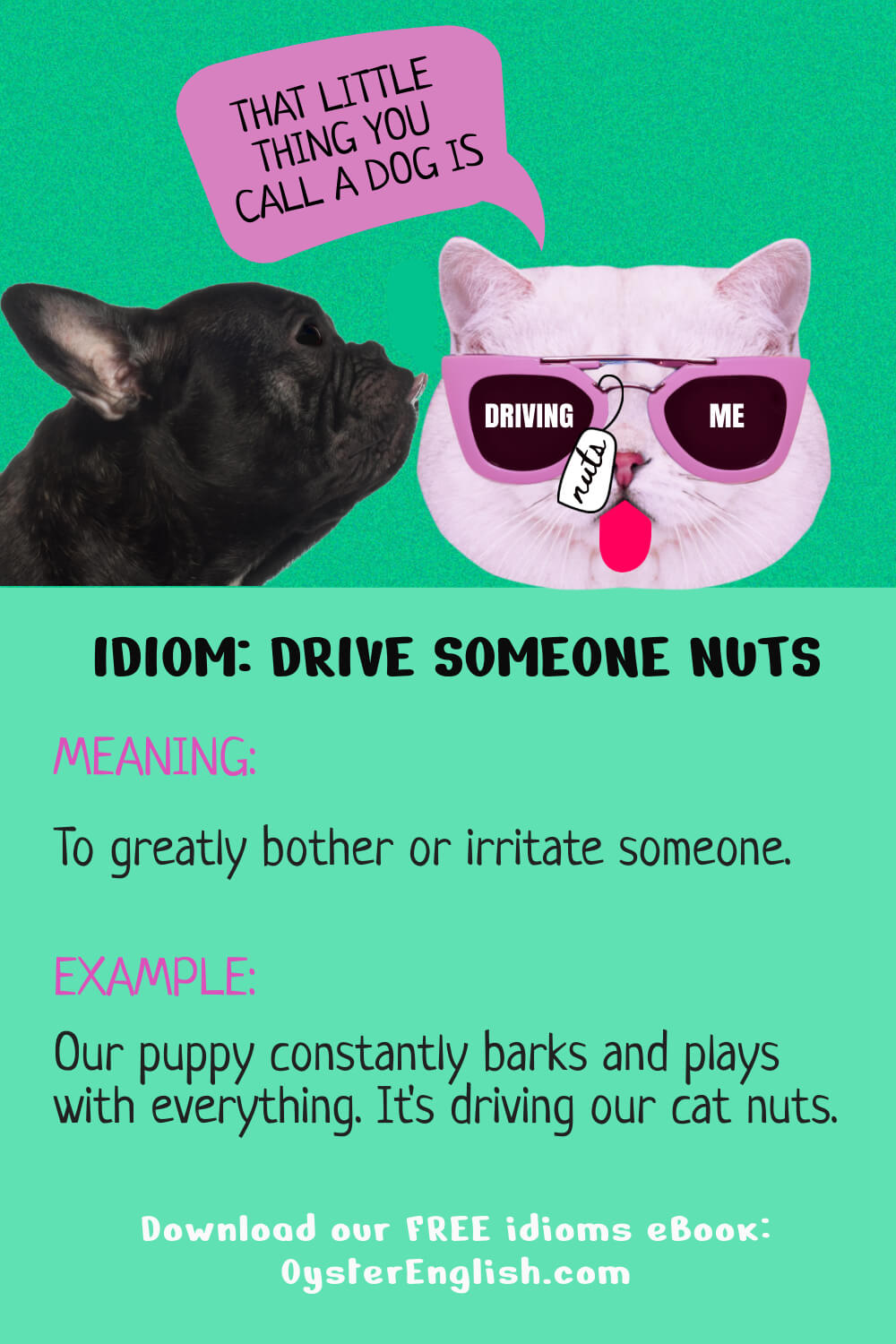 Idiom Drive Someone Nuts meaning Examples 