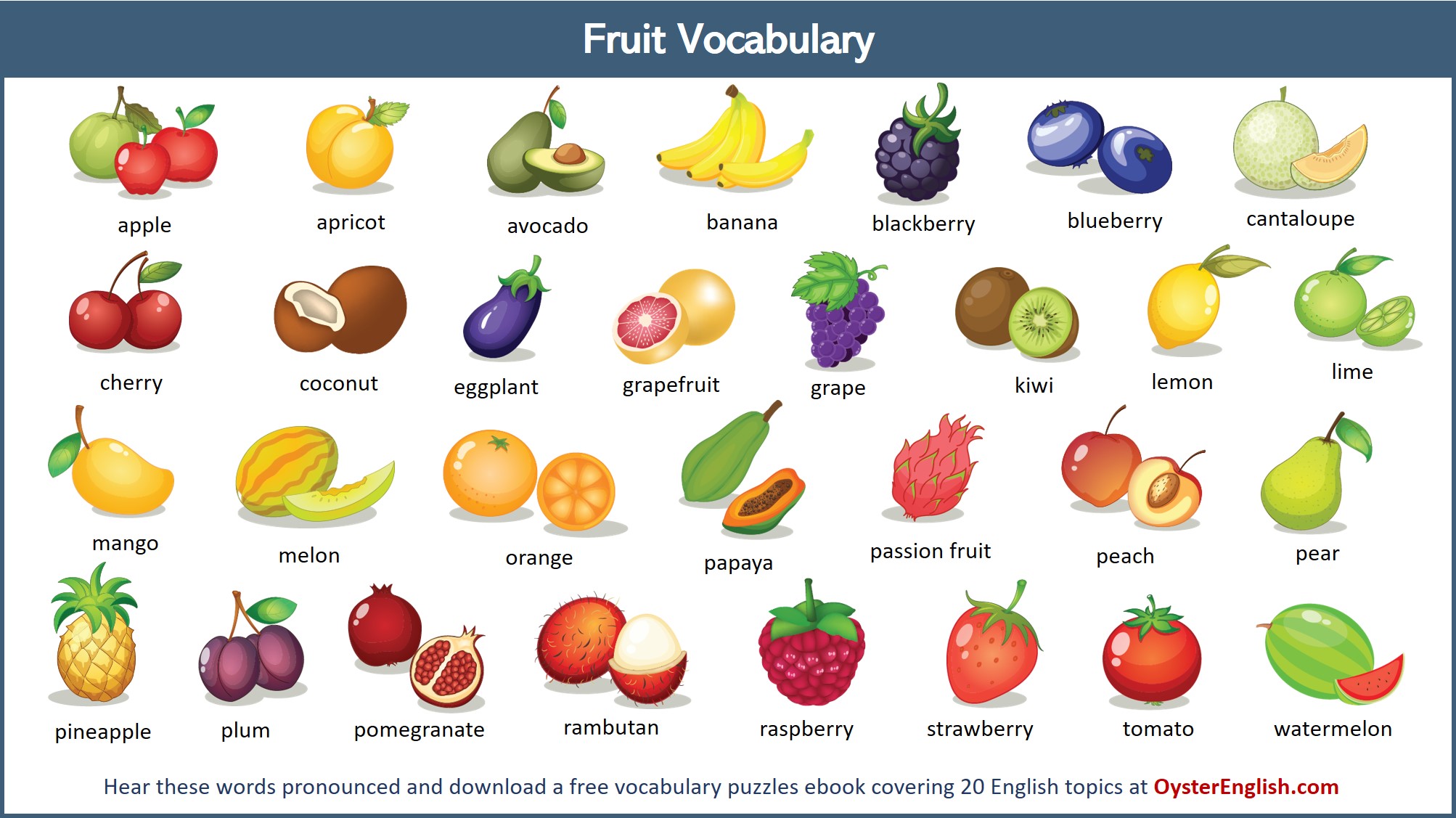 Fruit Vocabulary List