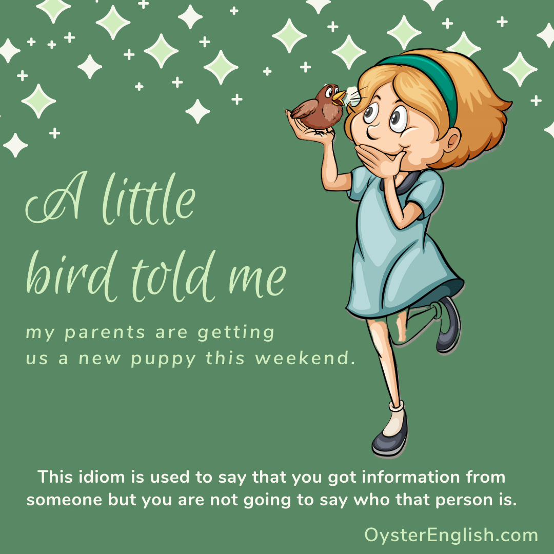 Idiom A Little Bird Told Me