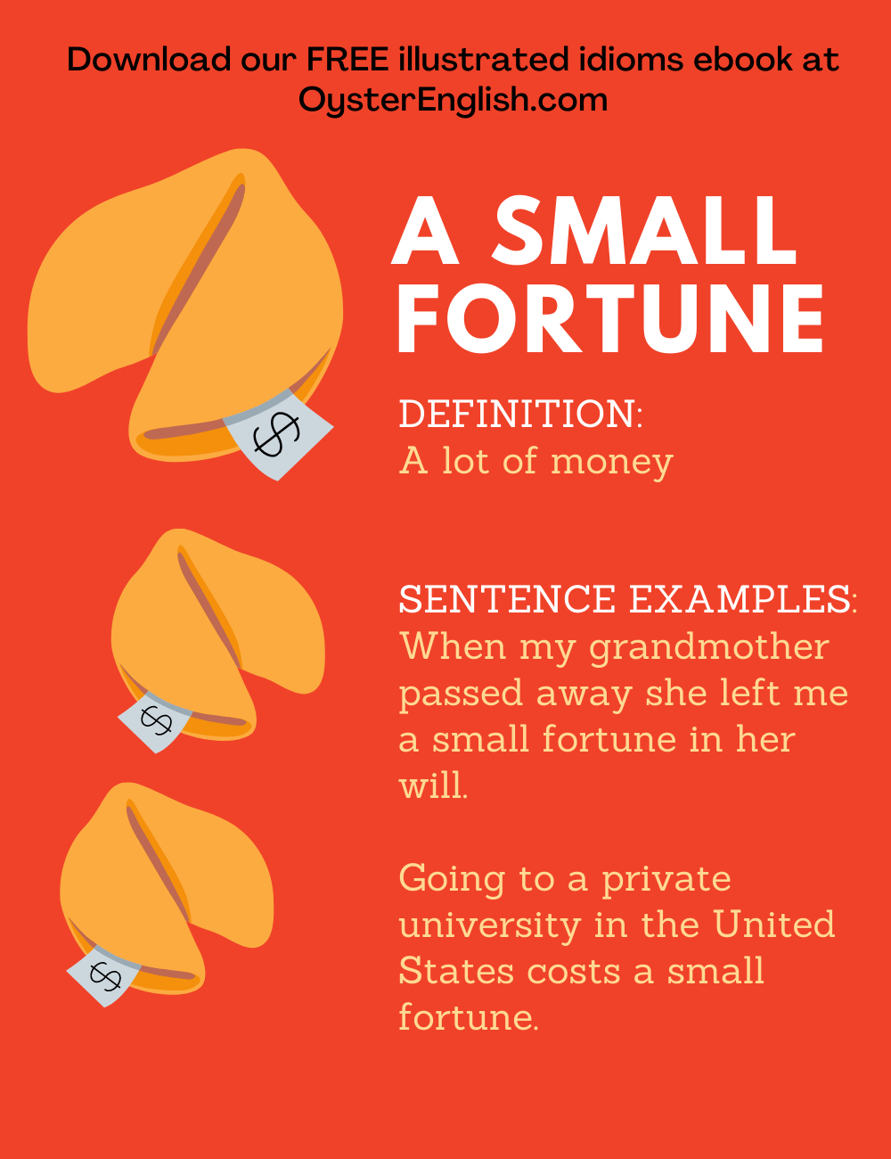 Idiom A Small fortune meaning Examples 