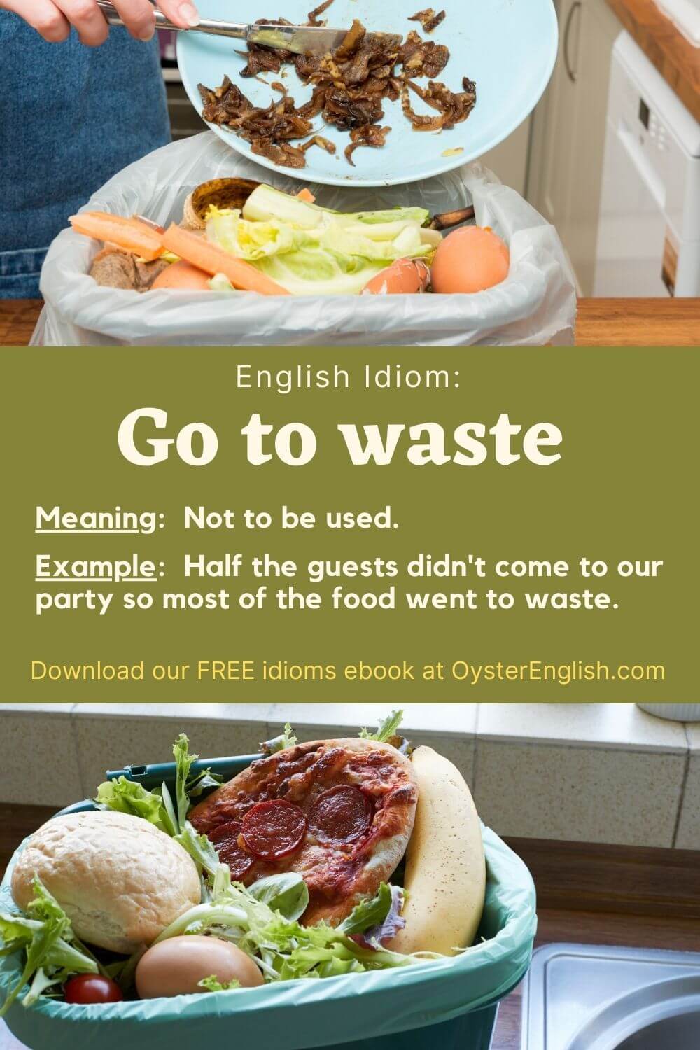 Idiom Go To Waste meaning Examples 