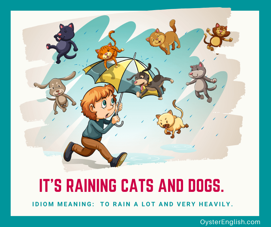 Idiom Raining Cats And Dogs Meaning Examples
