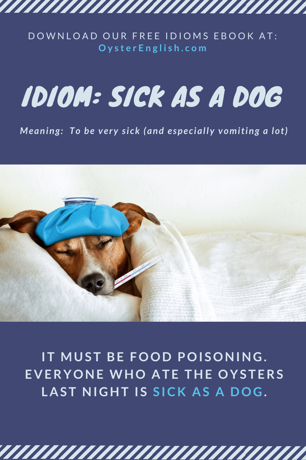 Idiom: Sick as a dog (meaning & examples)