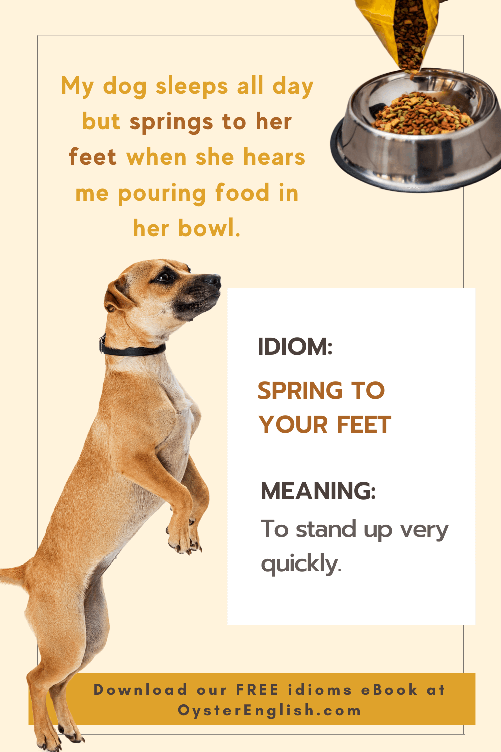 Idiom Spring To One s Feet meaning Examples 