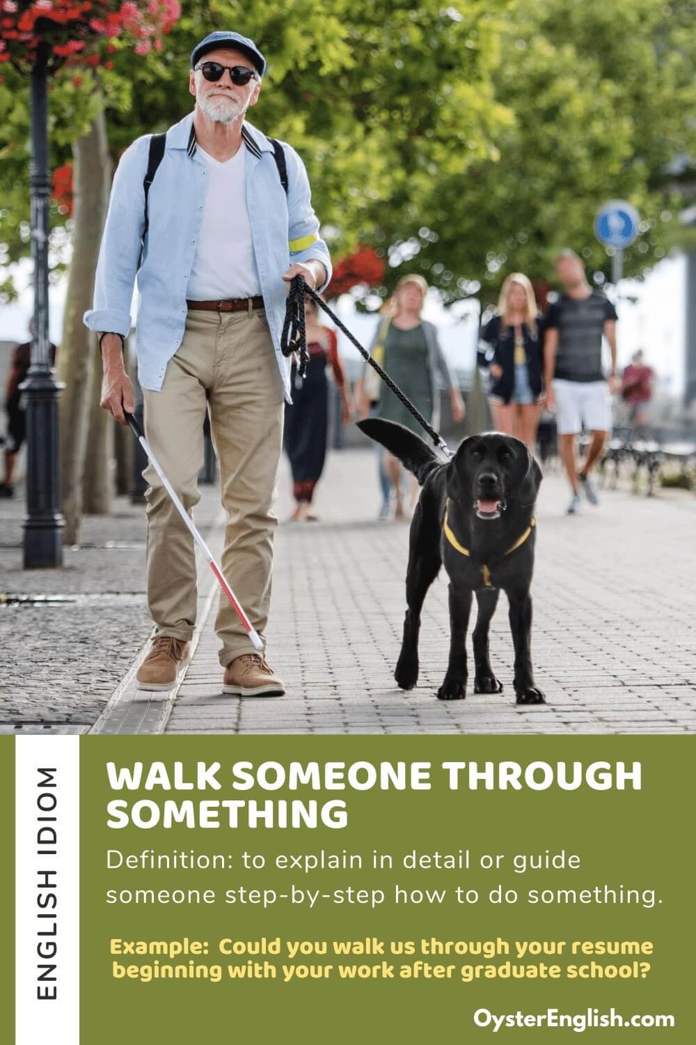 Idiom Walk Someone Through Something meaning Examples 