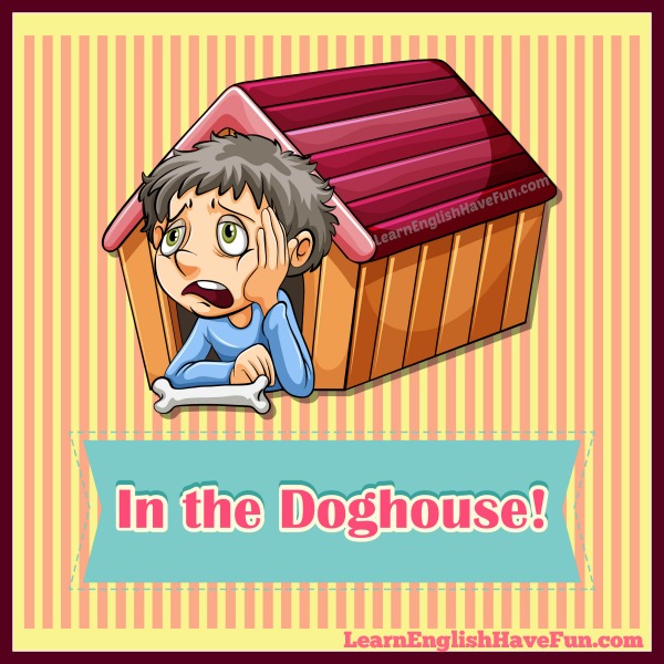 Idiom In The Doghouse meaning Examples 