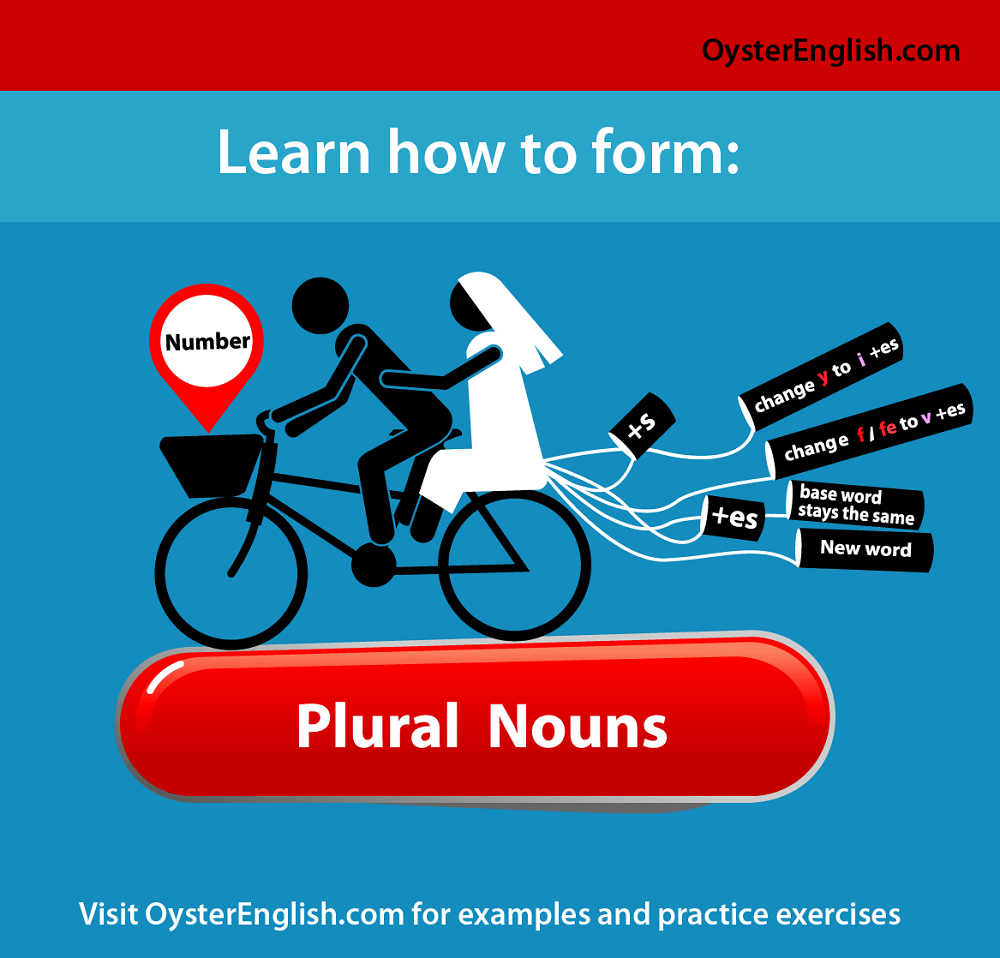 Amazon.com : Funny Metal Tin Sign Plural Nouns Poster Grammar Chart for  Classroom Wall Decor School Educational Poster Student Study Guide Plaques  for Home Wall Decor Sign 16x24inches : Home & Kitchen