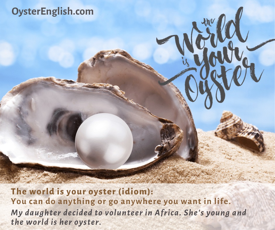 Idiom The World Is Your Oyster Meaning Examples 