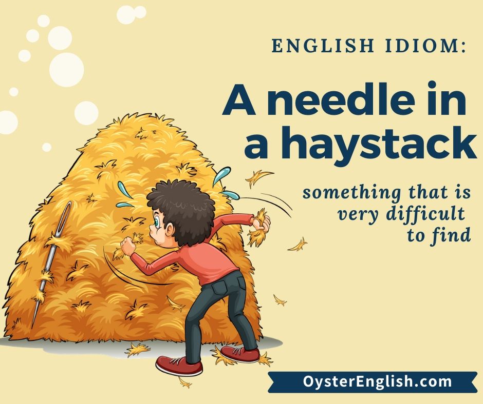 Idiom A Needle In A Haystack Meaning And Examples