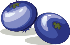Illustration of blueberries