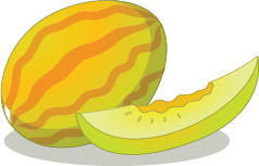 Illustration of a cantaloupe